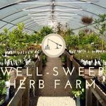 Well-Sweep Herb Farm Grown In Warren